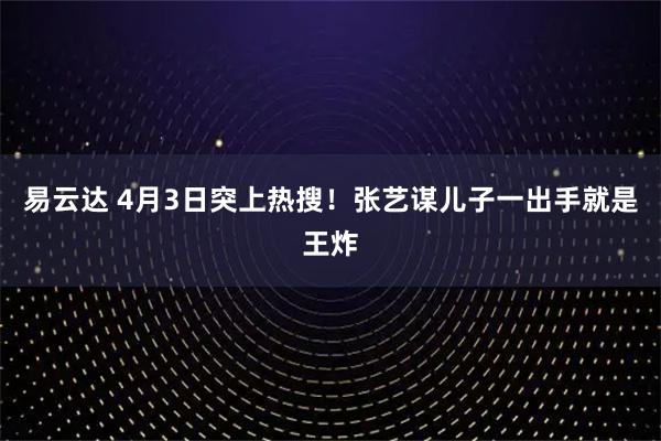 易云达 4月3日突上热搜！张艺谋儿子一出手就是王炸